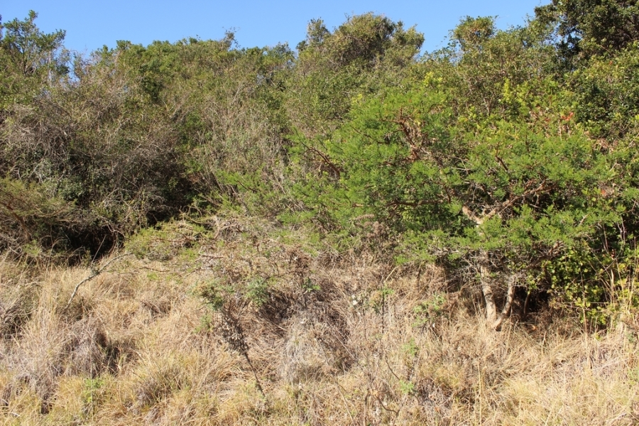 0 Bedroom Property for Sale in Khamanga Bay Eastern Cape